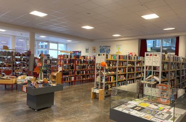 Das Bild zeigt die Stadtbücherei von innen mit den Bücherregalen und Büchern