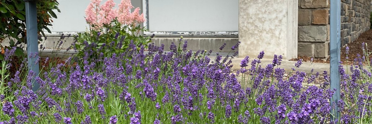 Das Schild der Stadtverwaltung Monschau