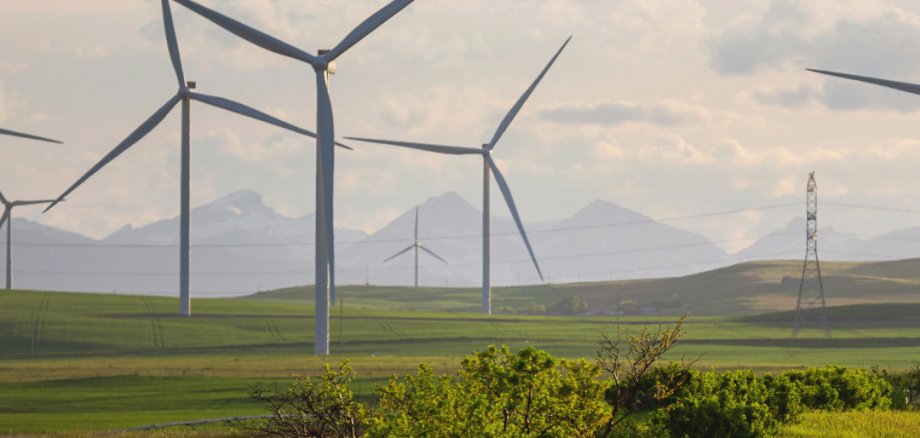 Das Bild zeigt Windräder auf einer grünen Wiese