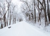 Winter Winter